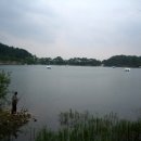 의림지-06 이미지