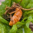 씨유상록안산대학로점 | 안산 일동 맛집 [장모님 철판갈비] 모임장소 가족외식 추천