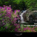 도대보건진료소 이미지