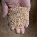 철규농장 이미지