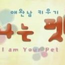 나는펫 이미지