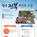 전복장터 이미지