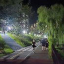 지금부터 한 걸음 도심 속 러닝 | 줌 플라이 6 화이트 플래티넘 생일 선물로 시작한 러닝 입문기: 방축천과 제천을 따라 저녁 러닝 코스 추천