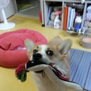 이기충 농장 | 송도신도시 가볼만한곳 센트럴파크