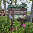 경기둘레길 안산49코스 이미지