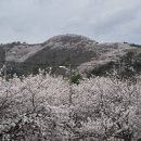 낙낙 - 공주시 제민천3길 88 | 낙낙