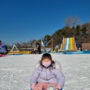 주식회사 루돌프앤특장 | 겨울방학 서울 가볼만한곳 어린이회관 눈썰매장 요금, 주차, 푸드코트 안내