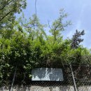 손동현내과의원 이미지