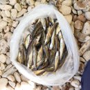 하오재캠핑장 이미지