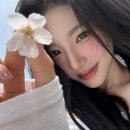 신위 카카오 검색결과