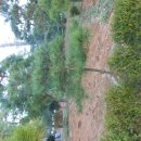 지평선공인중개사사무소 이미지