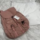 썸웨어버터 백팩 PP backpack 피피백팩 핑크 후기 (feat. PP mini backpack 피피미니백팩 크림 크기...