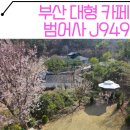 J949갤러리 | 부산 범어사 카페 숲속 정원이 있는 대형 신상카페 "J949"