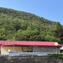부산 근교 촌캉스 밀양 빨간지붕 |아기랑 독채 숙소 힐링 후기
