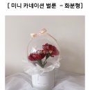 디얼투유
