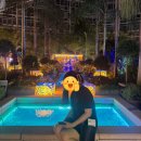 지에스25 세종청정점 | 세종 가볼만한곳 추천 | 국립세종수목원 한여름밤의 고흐 전시 리뷰(스위트가든 전시도⭕)