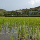 돈주