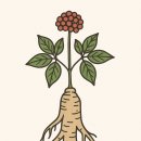 둥지한의원 이미지