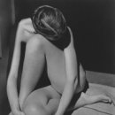 웨스턴 소프트 이미지