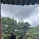 꽃비원스테이 이미지