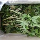 고운농장 이미지