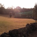 표선면-11 이미지