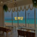 제주월정리오션뷰카페 토끼문 내돈내산후기