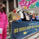 돌고래회관 이미지