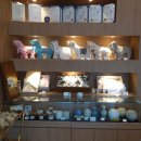 (주)펫노블레스 이미지