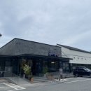 대승장어 이미지