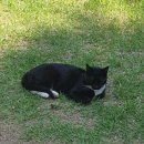 대학복사 | 대학도서관 사서 계약직 근무 후기