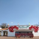 테마죤 | 제주힐링여행🌸에코랜드테마파크