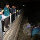 안산천2 이미지