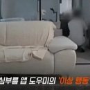 반려견 맡겼더니 여자 속옷 냄새 맡은 30대 남성 이미지