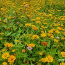 자연생태공원 부천식물원 이미지