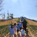 월서유치원(파랑새유치원) 이미지