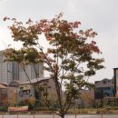 노브랜드김천율곡점