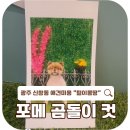 털이몽땅 네이버블로그