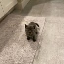 신디농장 이미지