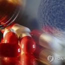 연구조엔지니어링