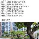 불반니원경 (무구) 이미지