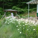 시골놀이터 이미지