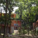 좌구산자연휴양림 이미지