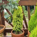 두봉농장 이미지