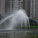 국짱 이미지