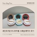데일리 마카롱 | 트렌드쇼퍼에서 주목받는 화장품 세트 세인트프랑 미니마카롱 스페셜 패키지 후기