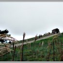 바우목장 이미지