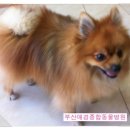 애경동물병원 이미지