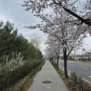 노원교길 이미지