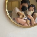 스테이제부(3) 이미지